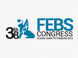 Поддержка сайта «FEBS»